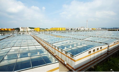 中國食品制造大王 調味品界的茅臺，億萬富豪工廠的“不打醬油”經營哲學